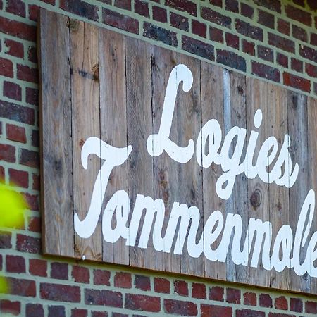 Logies Tommenmolen Apartment Grimbergen Ngoại thất bức ảnh